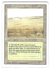 Savannah (#608)